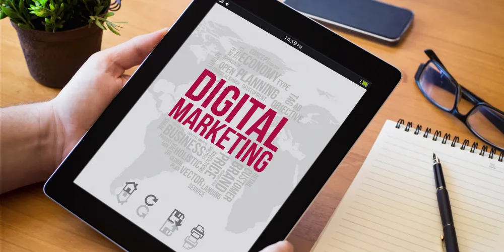 How To Find Domain Of Polynomial Function