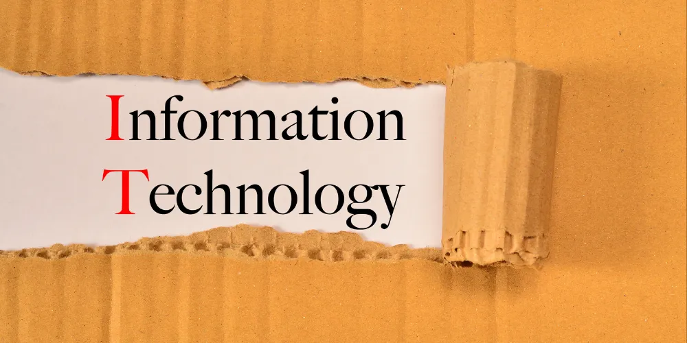 How To Create A Custom Post Type In WordPress Without Using Plugin