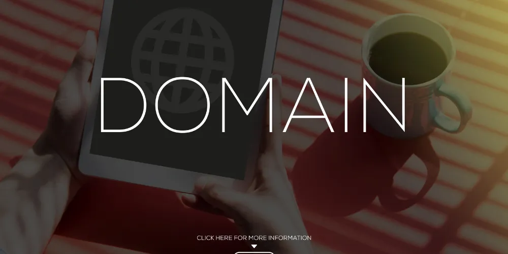 Best Practices To Reduce Bounce Rate On Small Business Websites With Limited Content ?