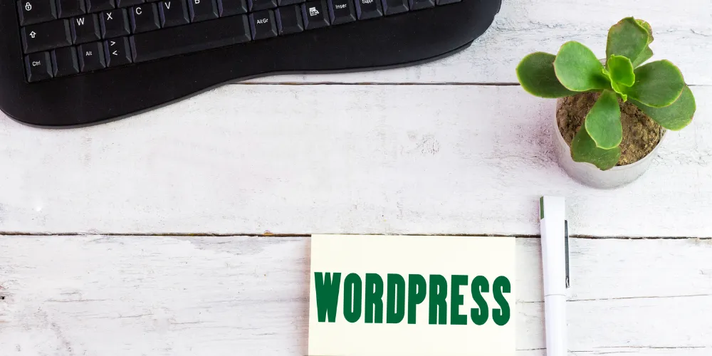 How To Create A Custom 404 Page In WordPress Elementor Page Builder