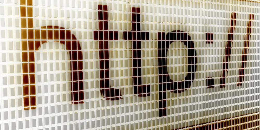 Step By Step Guide To Designing A Beginner Friendly Website Homepage For New Entrepreneurs ?