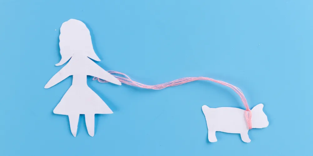 How To Change The Background Color Of A Single WordPress Page