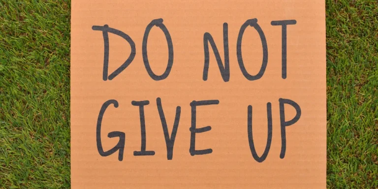 How To Change Author Name In WordPress Posts Without Losing Seo