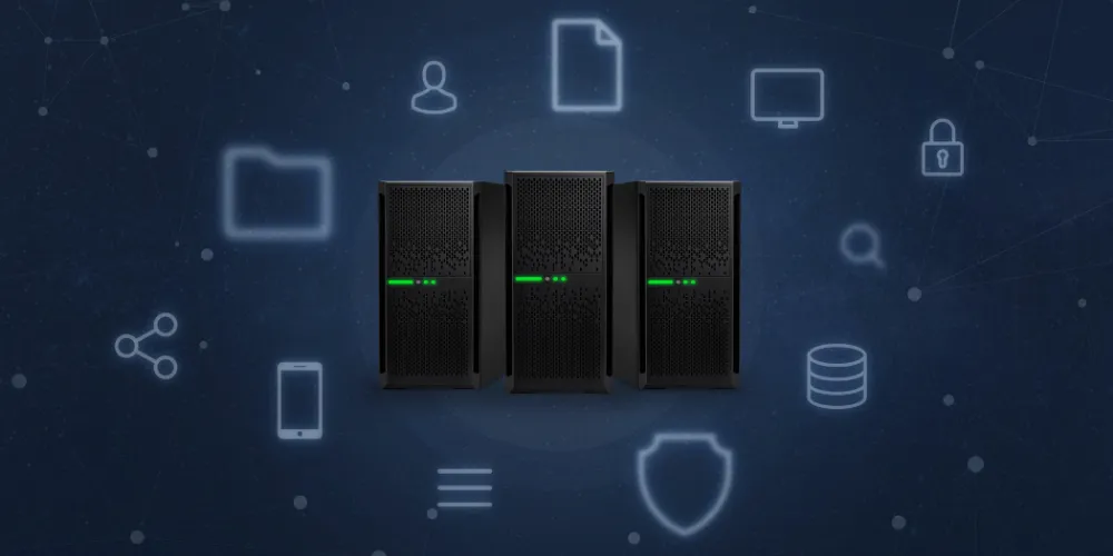 A Rose Bush Is Classified In Domain And Kingdom