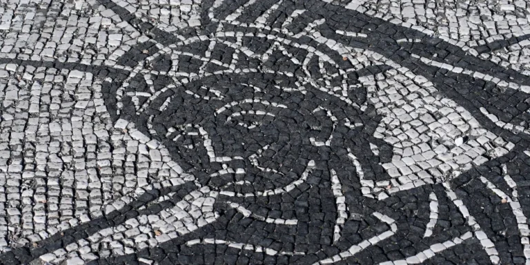 Which Of The Following Is Not A Domain Of Life