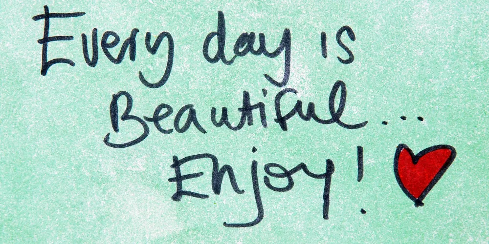 How To Fix Slow WordPress Admin Dashboard On Cheap Shared Hosting