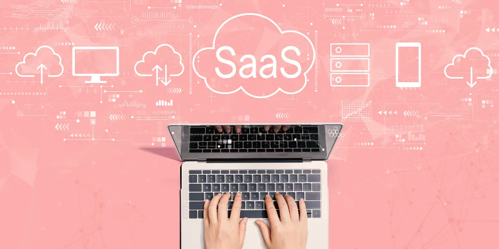 Why Are Some Domains So Expensive