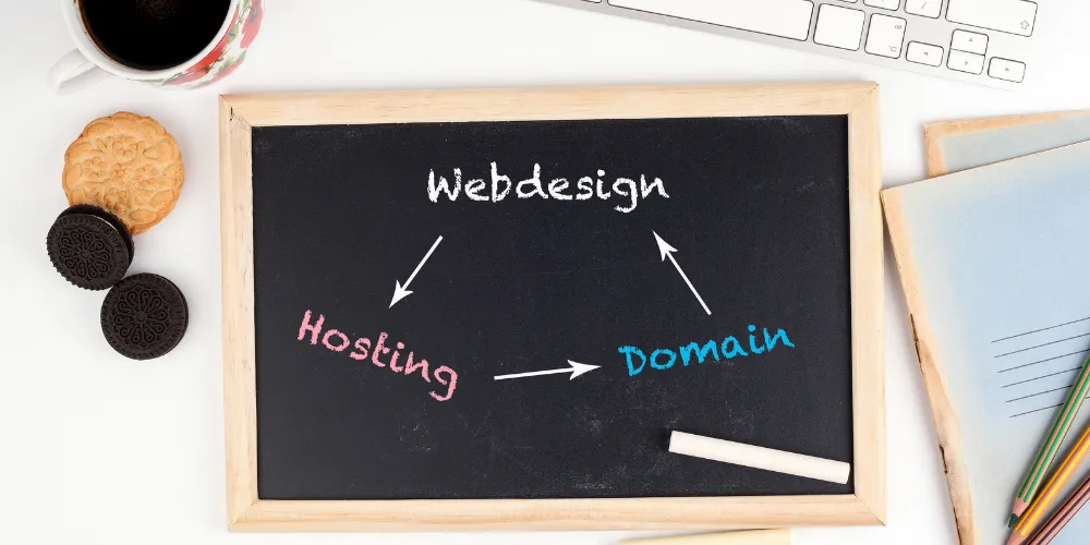Why Are Archaea In A Different Domain From Bacteria